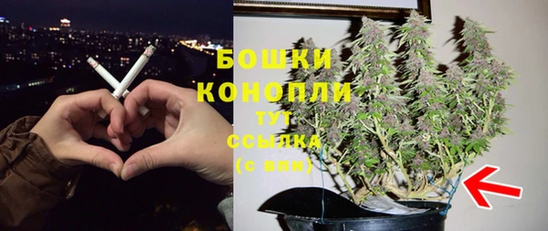 соль ск Нея