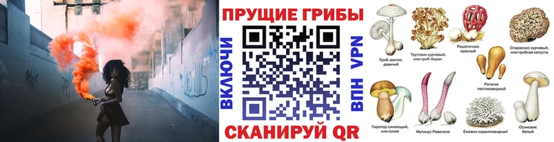 Псилоцибиновые грибы ЛСД  где купить наркотик  Куровское 